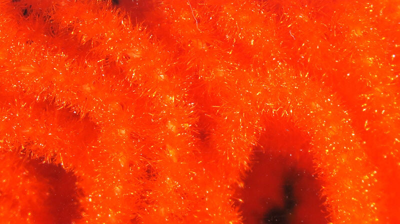 Hareline Trilobal Antron Chenille