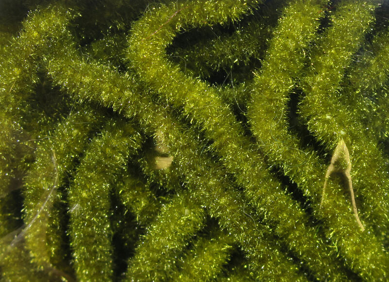 Hareline Trilobal Antron Chenille