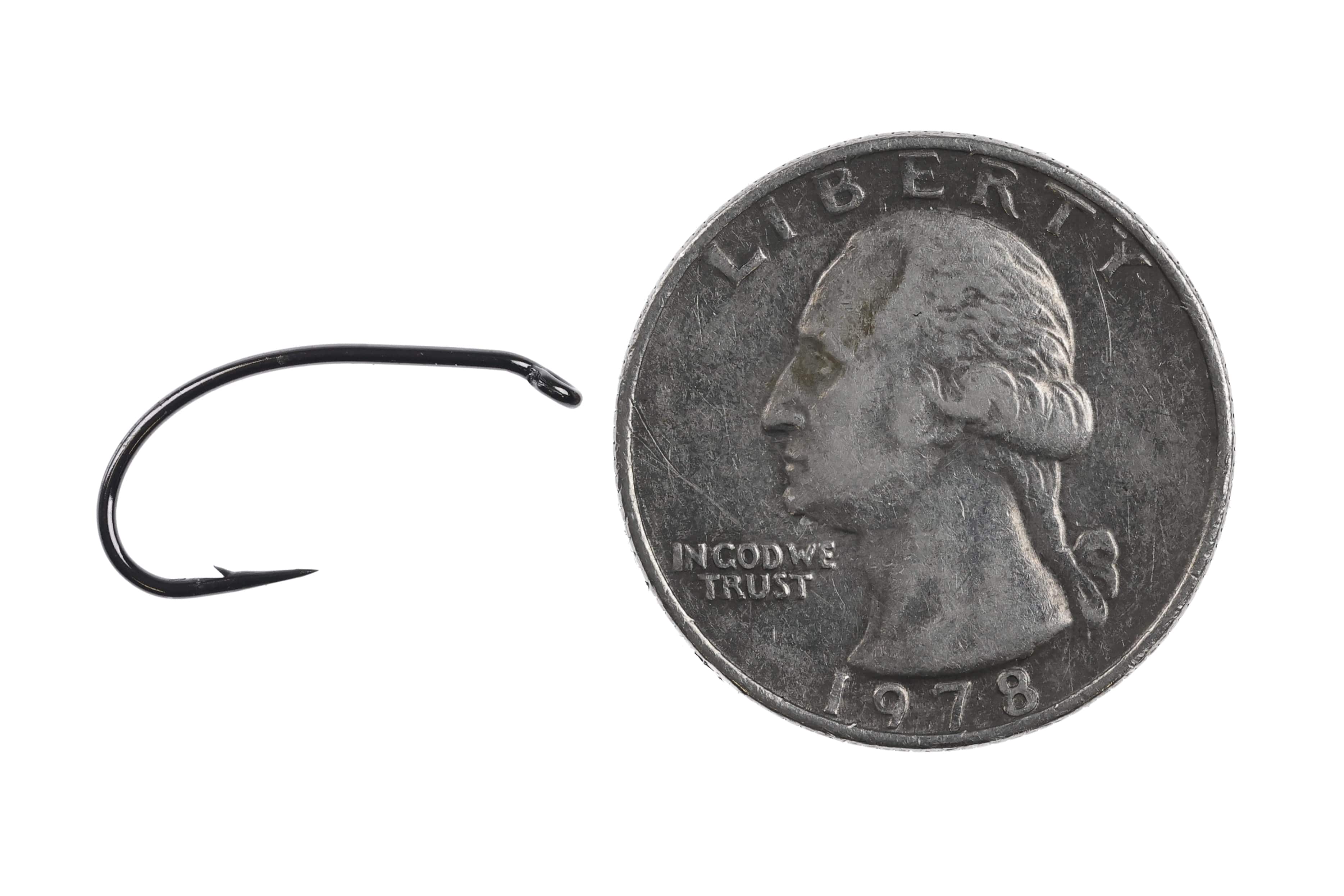 Ahrex FW540 black curved nymph hook with glossy metal finish and small barb, curved shank beside US quarter for scale