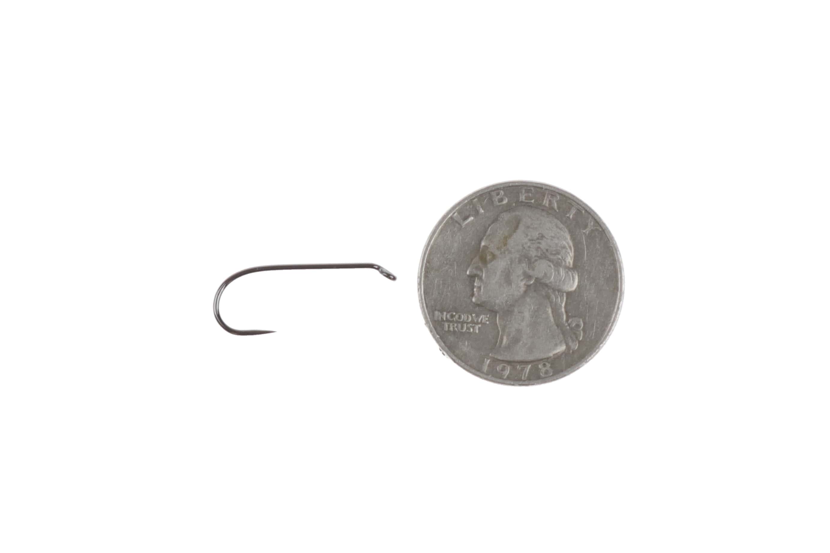 Ahrex FW561 barbless nymph hook in black nickel, round-bend short-shank beside US quarter for scale
