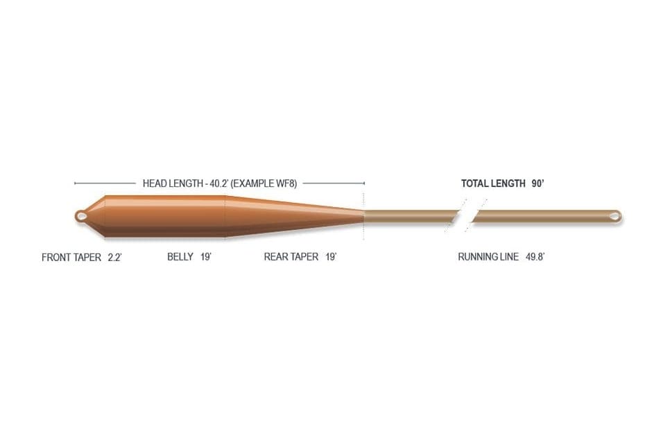 Airflo Ridge 2.0 copper-brown tapered Redfish fly line diagram showing head, 19' belly, tapers and running line