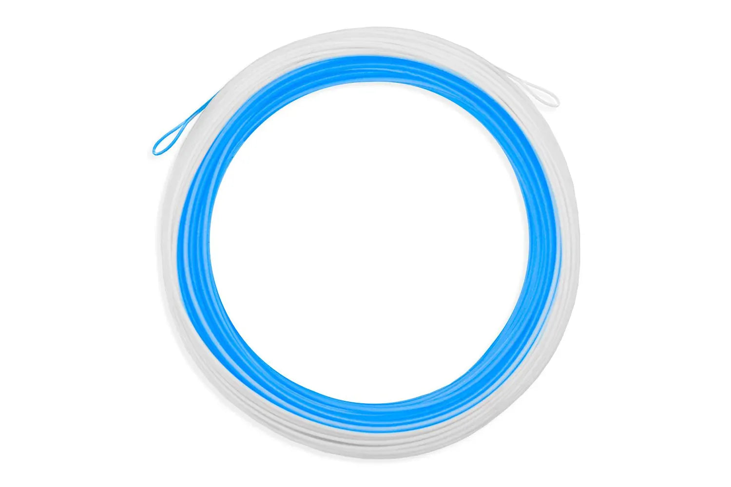 Coiled Airflo Ridge 2.0 ultra-supple winter tailwater fly line, white outer with bright blue core, PVC-coated looped ends