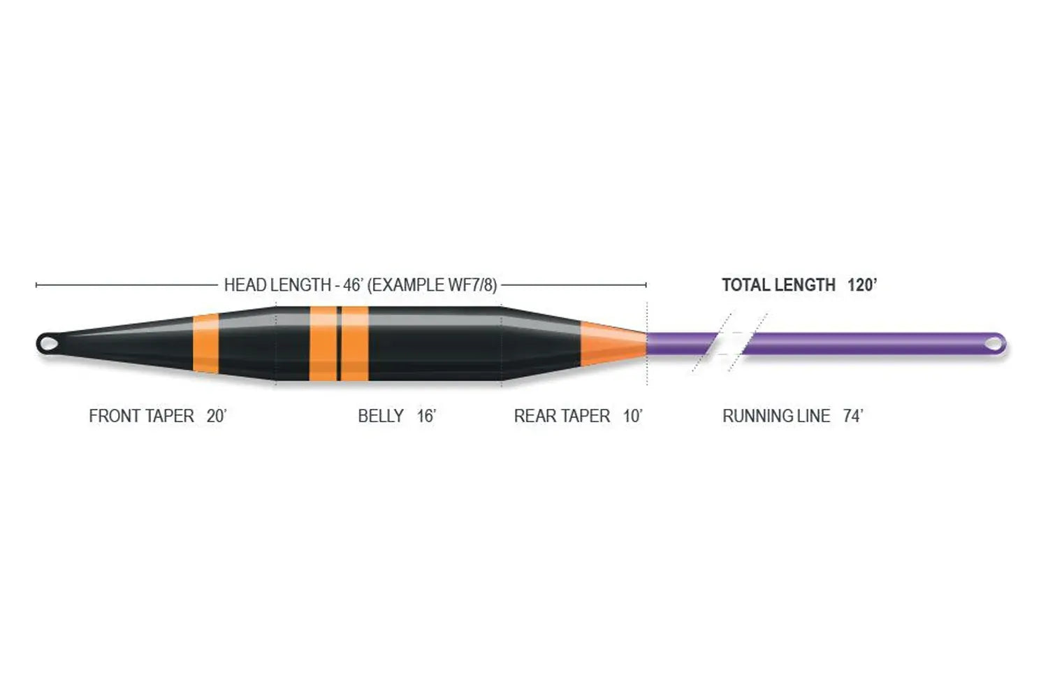 Airflo Sixth Sense 2 Competitor fly line: black tapered head with orange rings and purple running line, labeled tapers