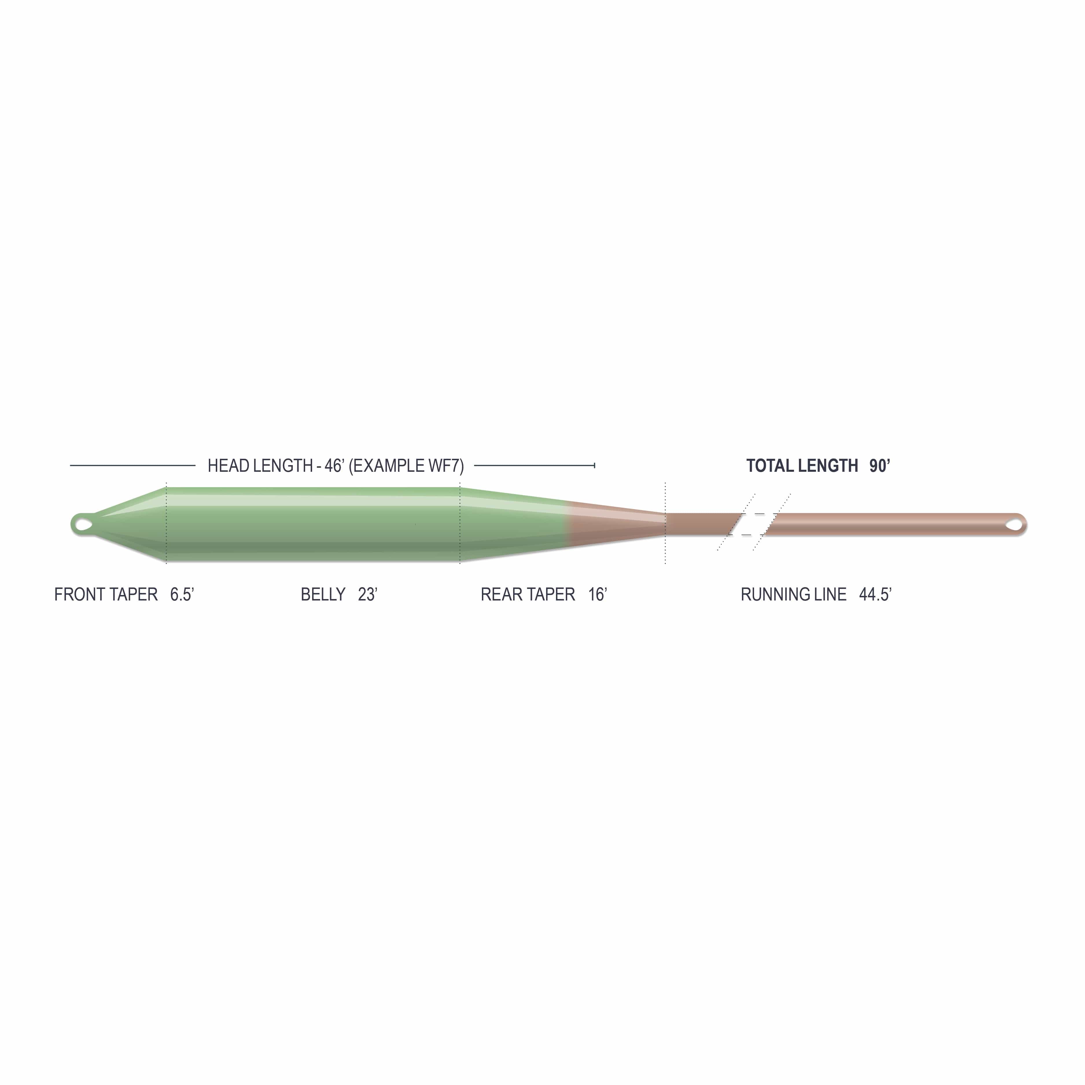Airflo Superflo Max Bomber fly line diagram showing green tapered belly and brown running line with loops