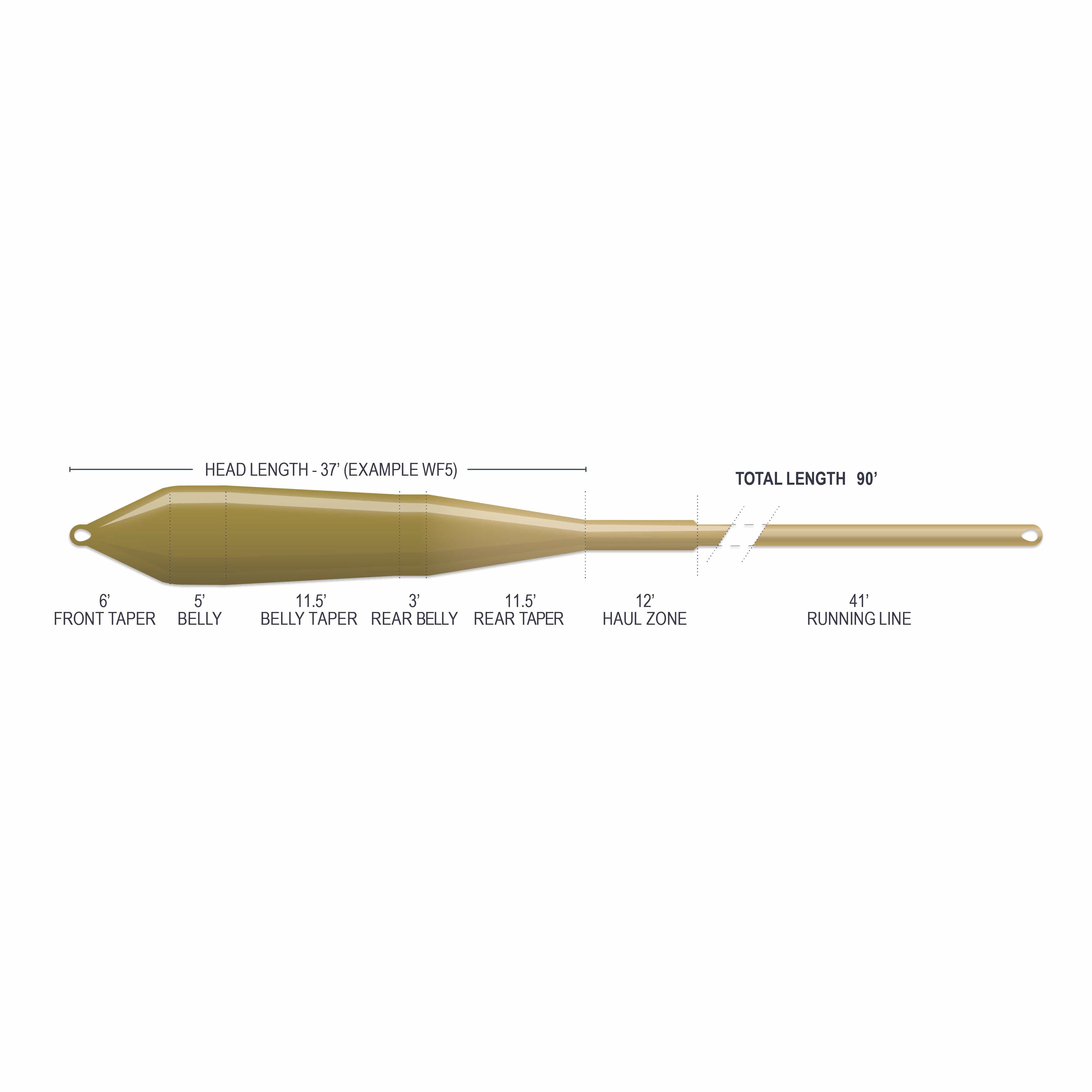 Airflo Superflo olive-gold tapered fly line showing belly, running line, and labeled front/rear tapers with haul zone
