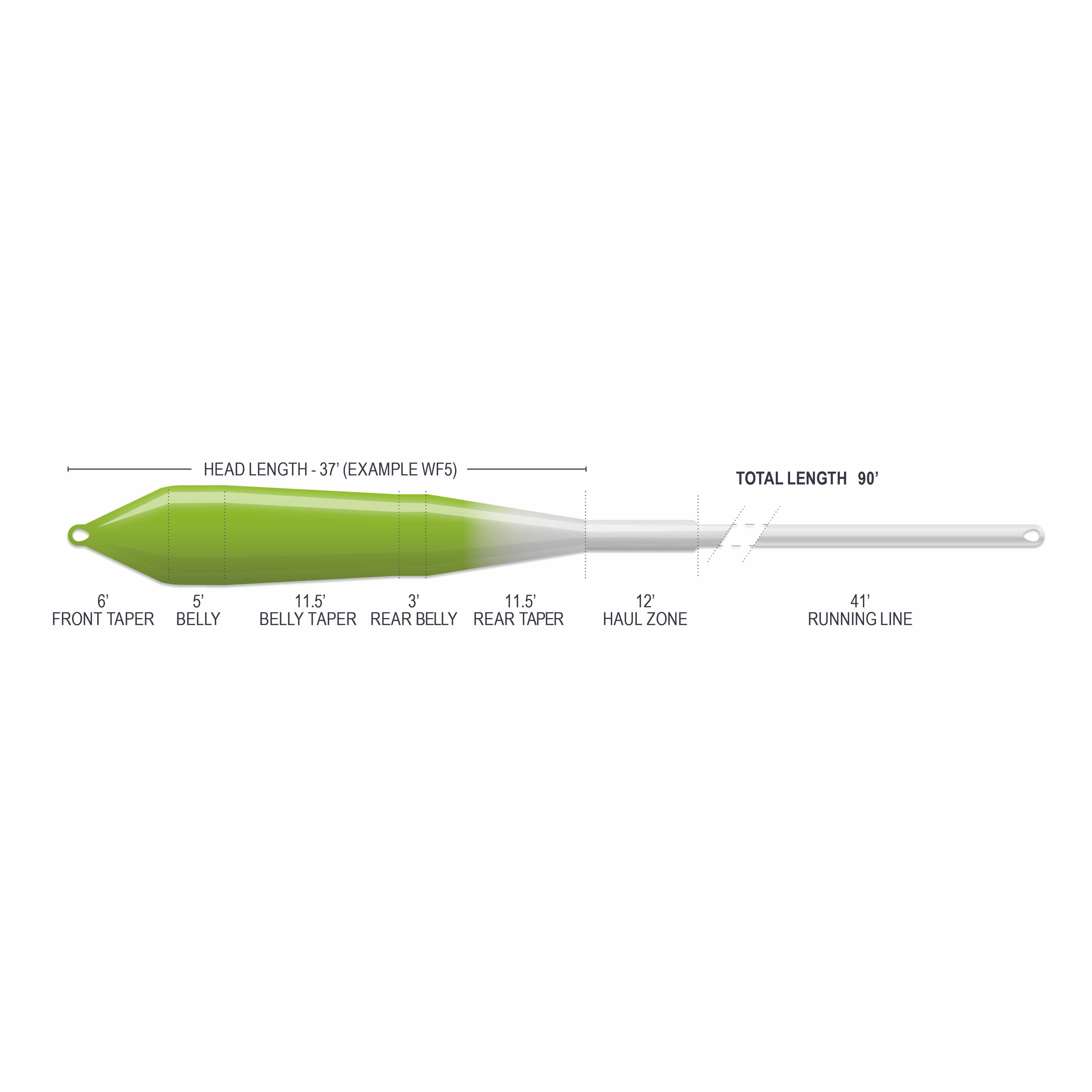 Airflo Superflo Max Power Taper fly line: glossy green head and belly tapering to gray running line, labeled sections
