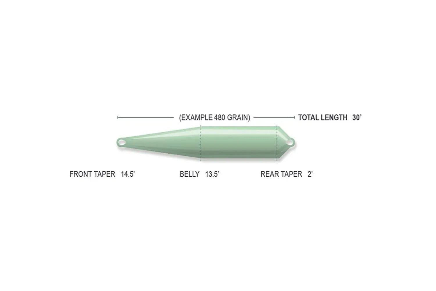 Pale green compact floating line showing front taper 14.5', belly 13.5', rear taper 2', total 30