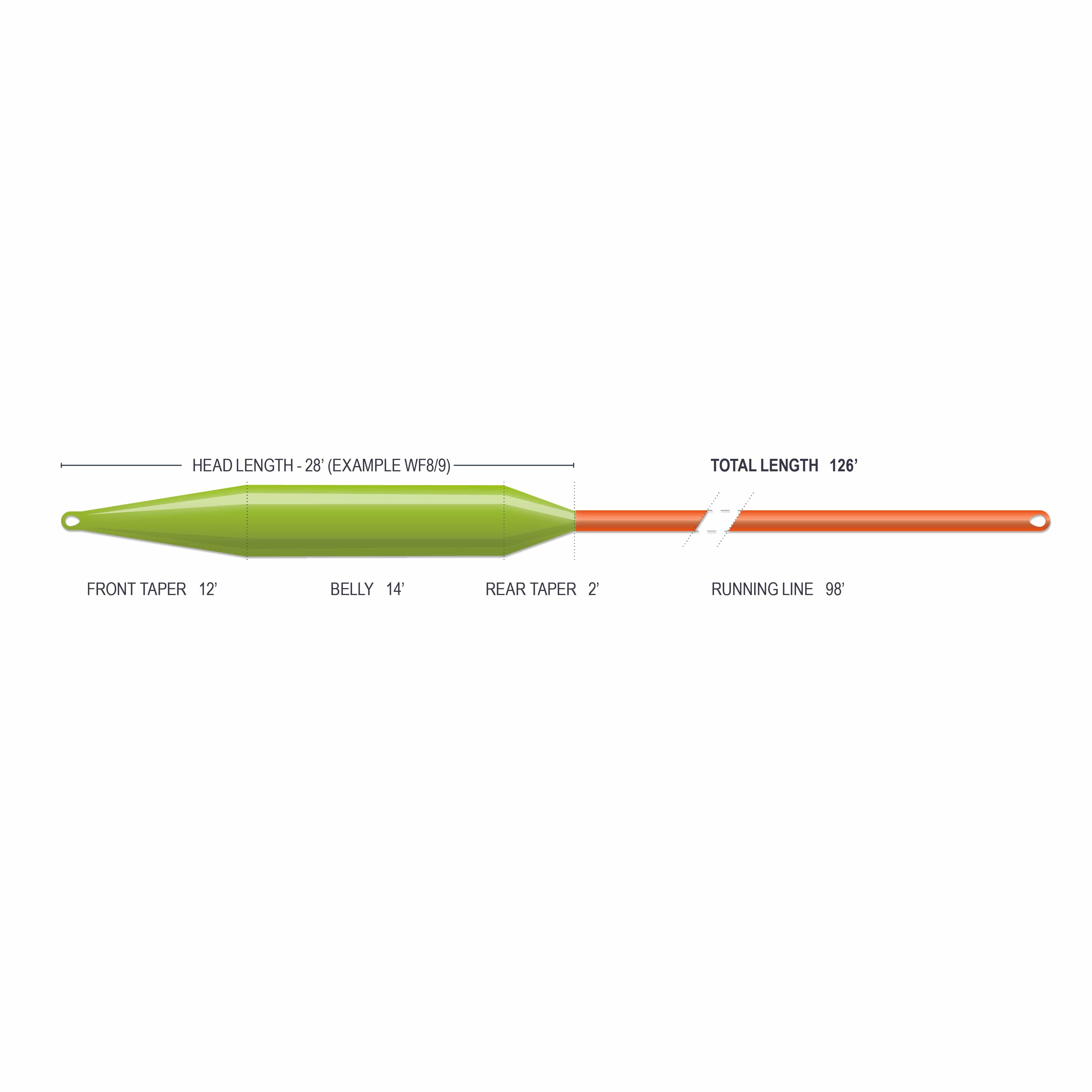 Airflo Superflo Max Rage Tri Tip spey fly line showing green tapered head and orange running line smooth coated finish