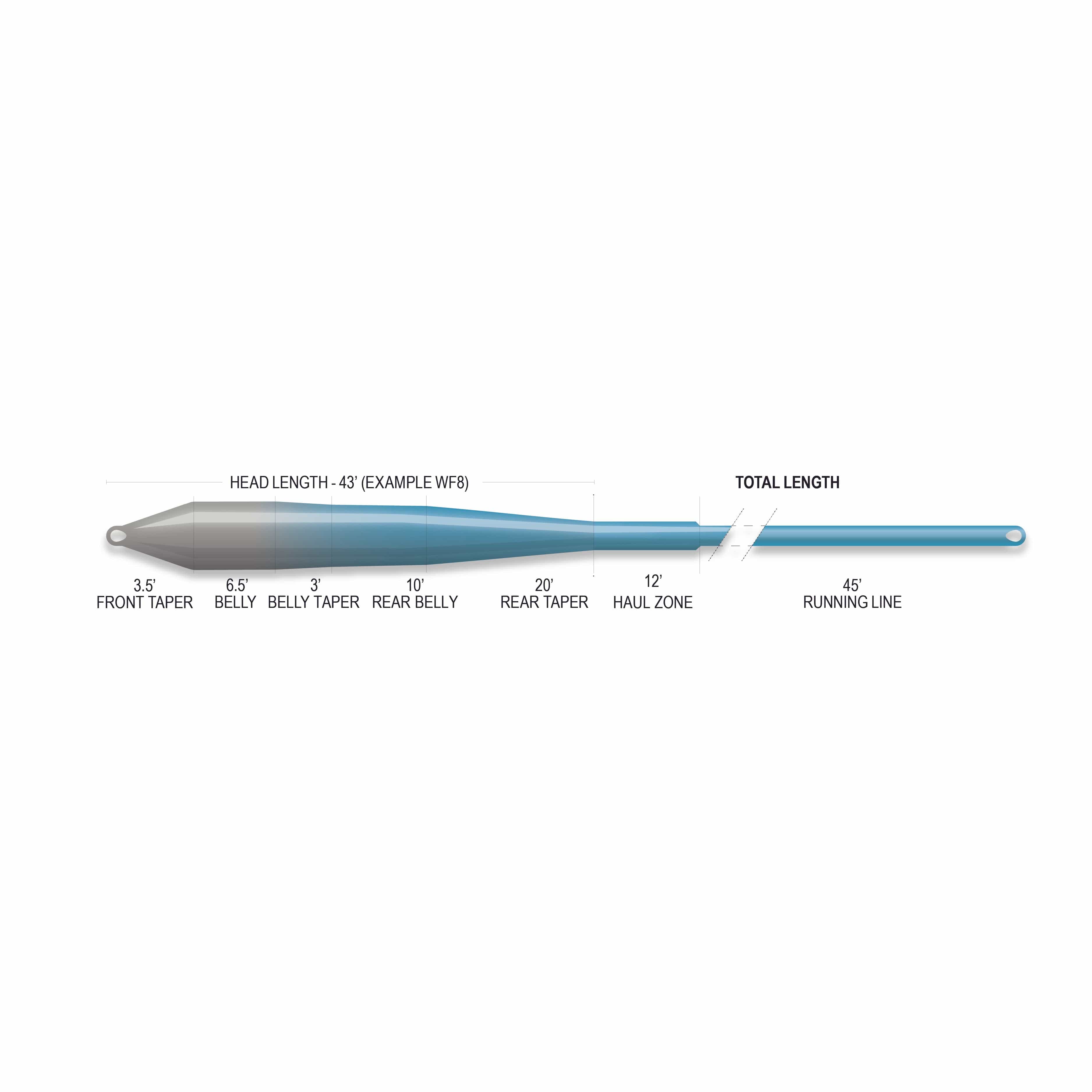 Airflo Superflo Max Ridge 2.0 blue-gray tapered saltwater fly line showing front, belly and running line sections