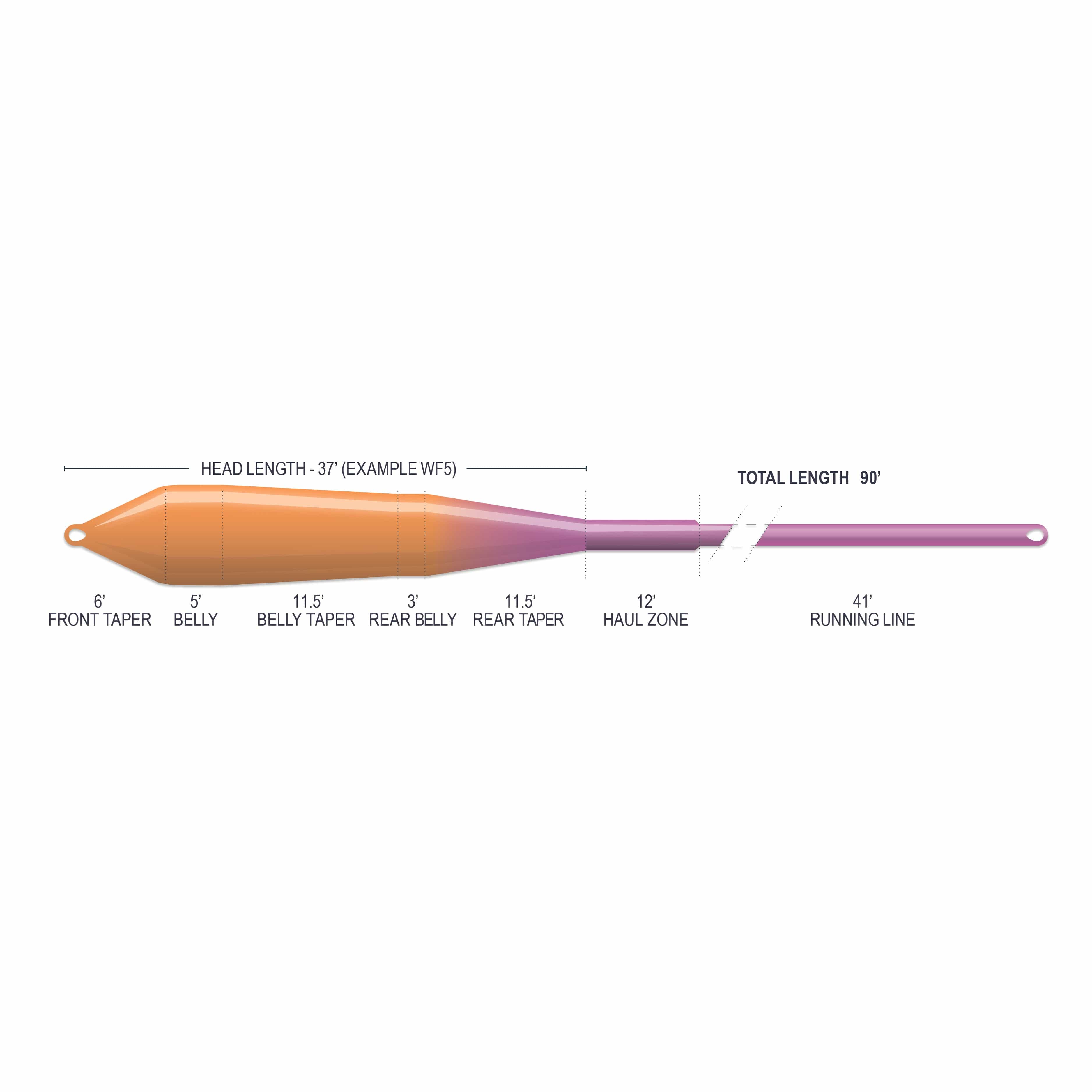 Airflo Superflo Max Ridge 2.0 power-taper fly line, orange-to-pink tapered schematic showing belly, taper and running line