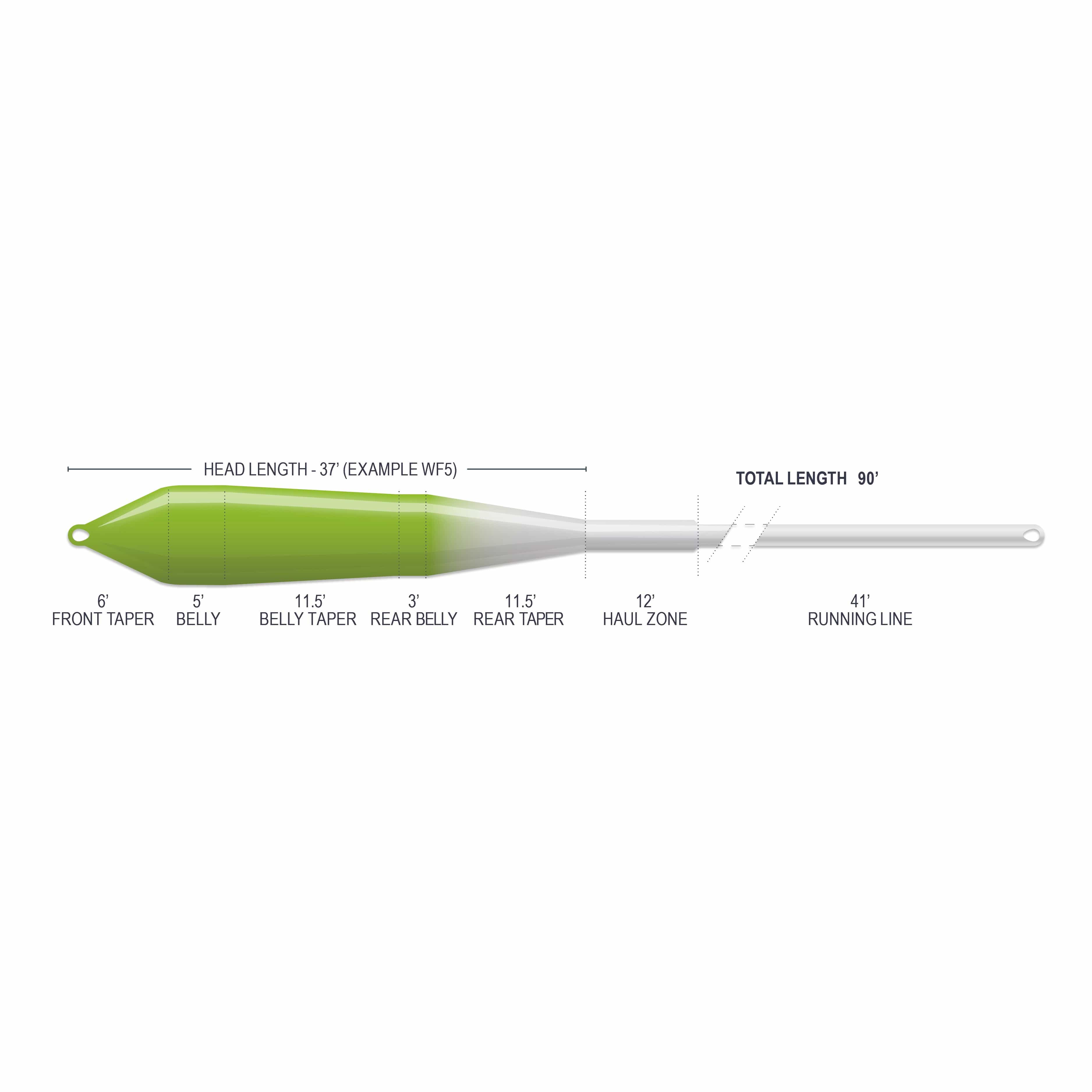 Airflo Superflo Max Ridge 2.0 fly line showing bright green belly taper fading to pale gray running line with labeled zones