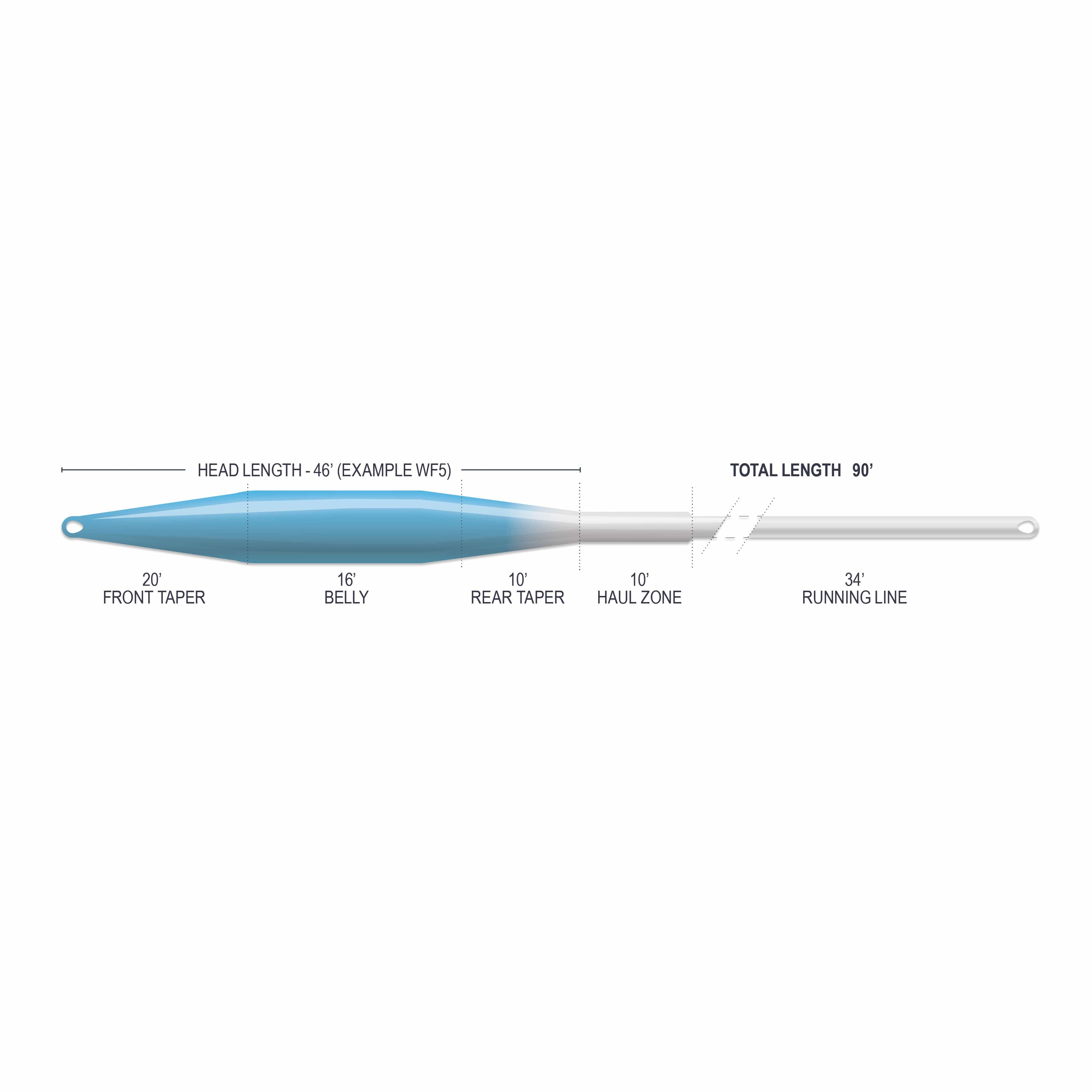 Airflo Superflo fly line diagram showing blue tapered belly fading to white running line, looped ends and labeled tapers