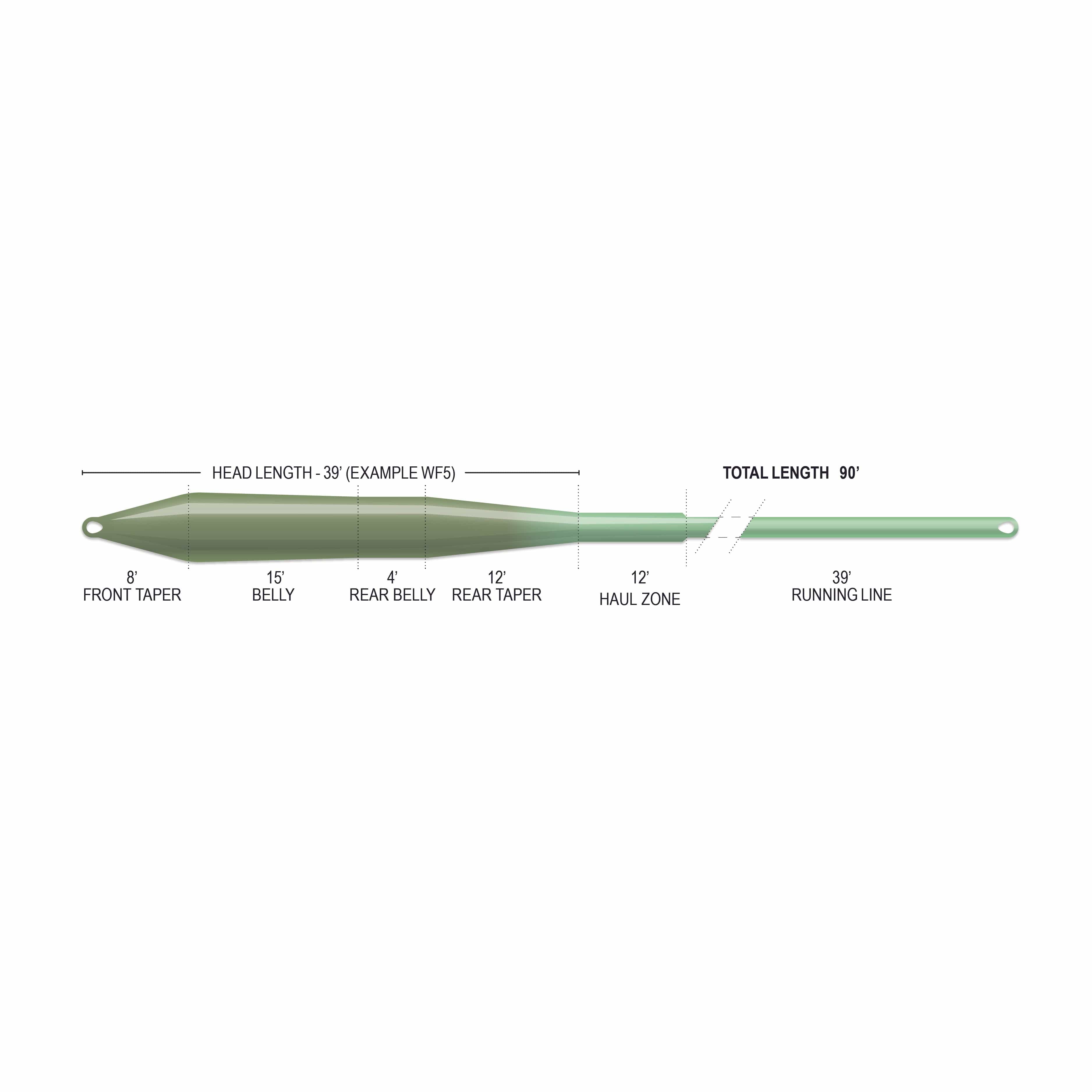 Airflo Superflo Max Ridge green tapered fly line diagram showing olive belly to mint running line with welded loops and
