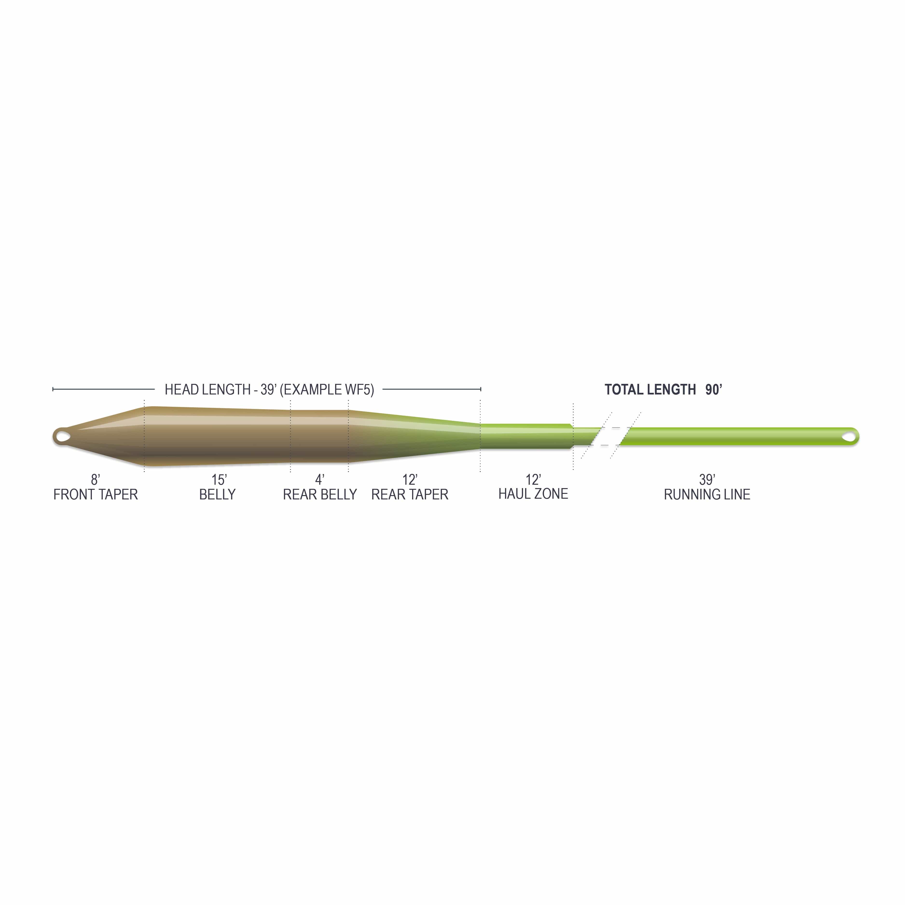 Airflo Superflo Max Ridge 2.0 fly line diagram showing olive-brown tapered belly to bright green running line with loops