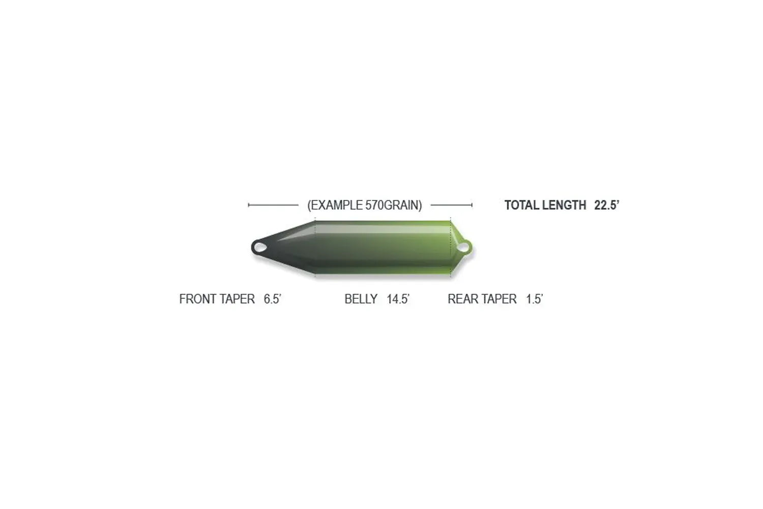 Green-to-dark green Skagit sinking line with end loops; front taper 6.5', belly 14.5', rear 1.5' (total 22.5')