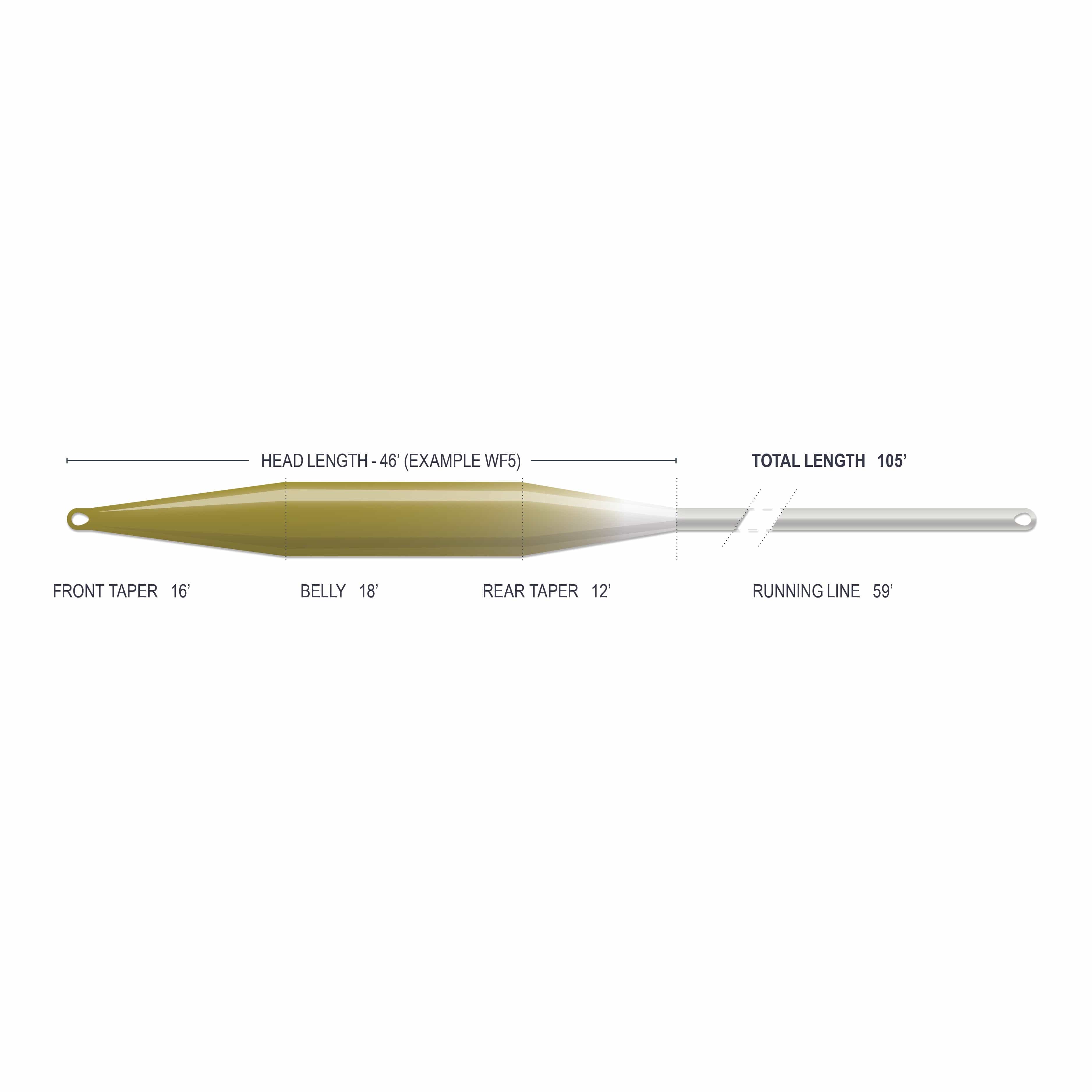 Airflo Superflo Max stillwater taper fly line diagram showing olive-green belly, tapered grey running line with welded loops