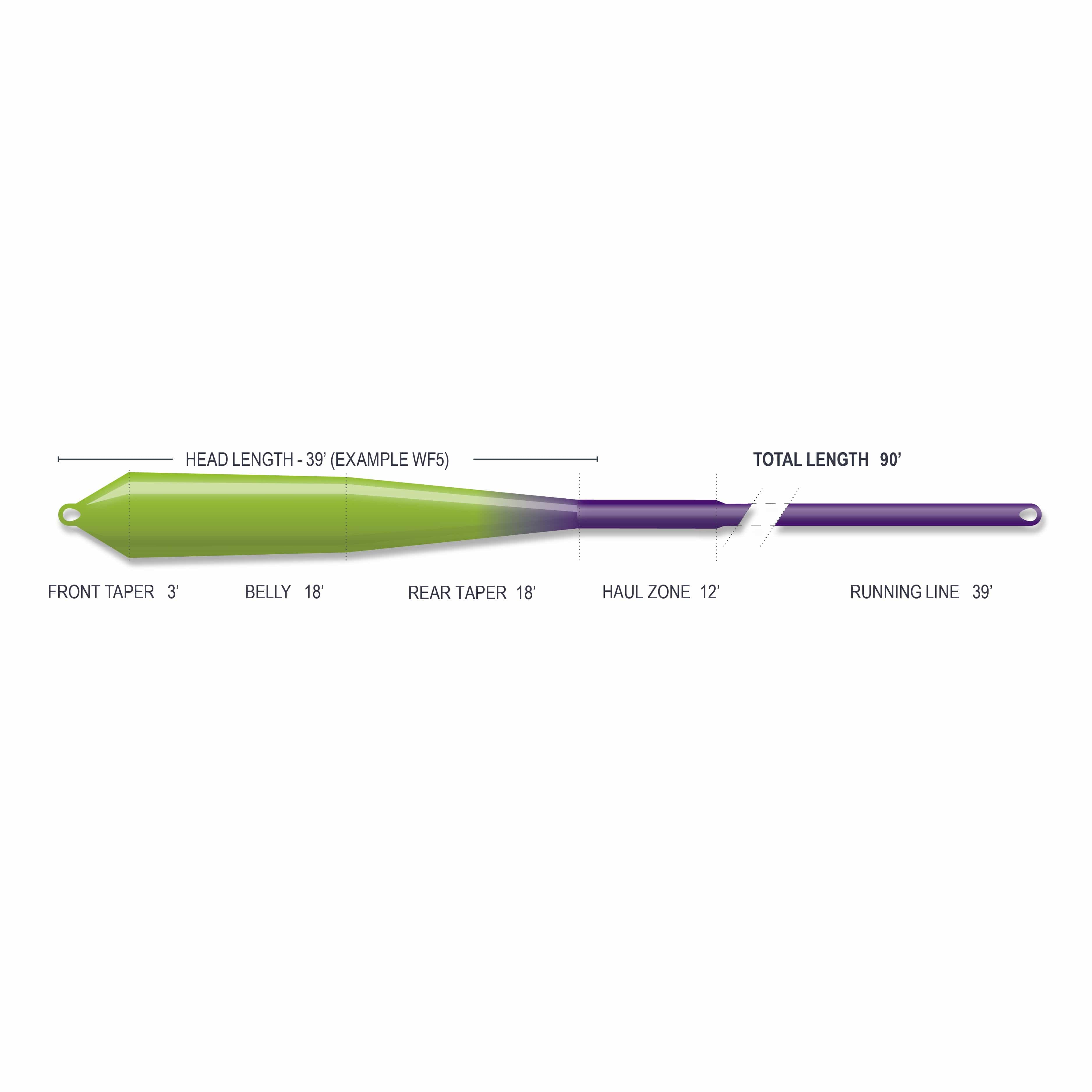 Airflo Superflo Max Streamer floating fly line, green tapered head to purple running line with labeled sections