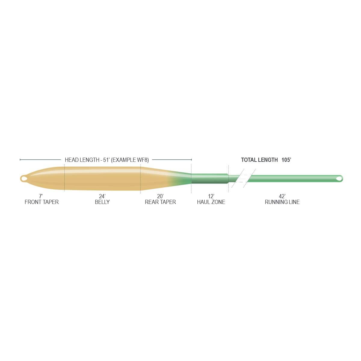 Airflo Superflo Ridge 2.0 fly line diagram: golden-beige tapered head transitioning to green running line, labeled taper
