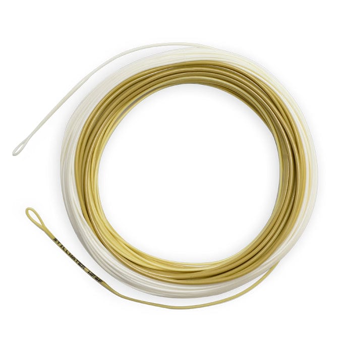 Airflo Superflo Stillwater floating fly line, coiled pale gold and white coated fly line with welded loop ends