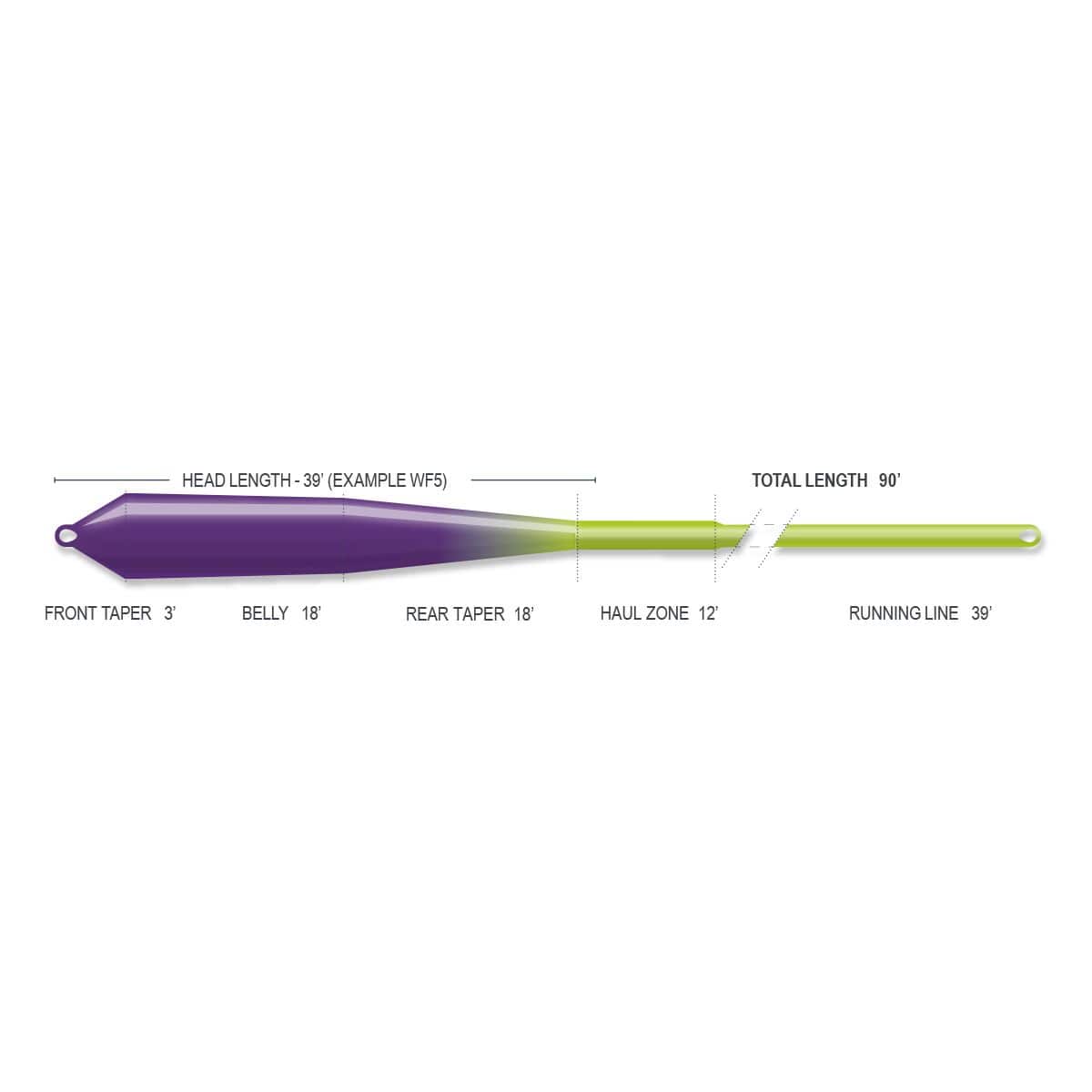 Airflo Superflo Streamer fly line showing purple tapered head and lime-green running line with labeled tapers and lengths