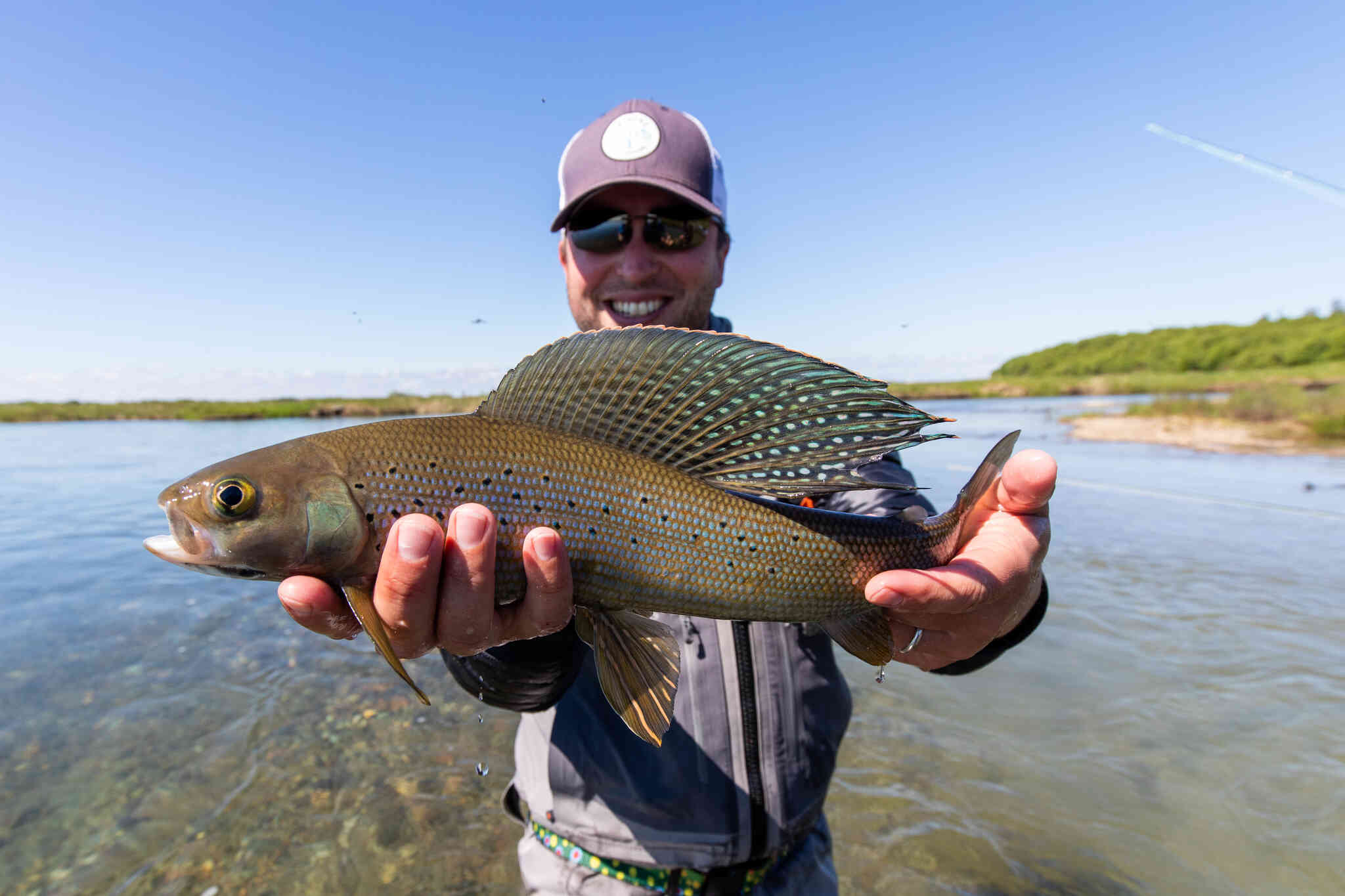 Scientific Anglers Mastery Tropical/Jungle Titan Fly Line