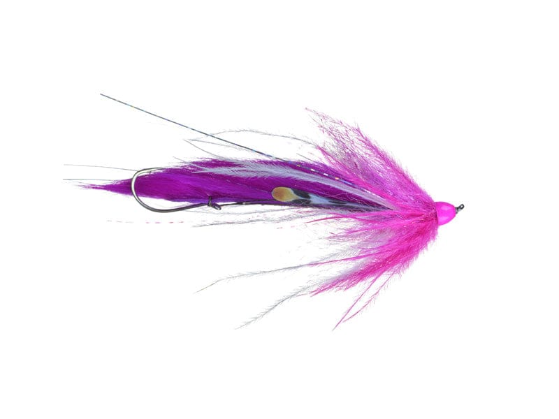 Dirty Hoh Steelhead Fly