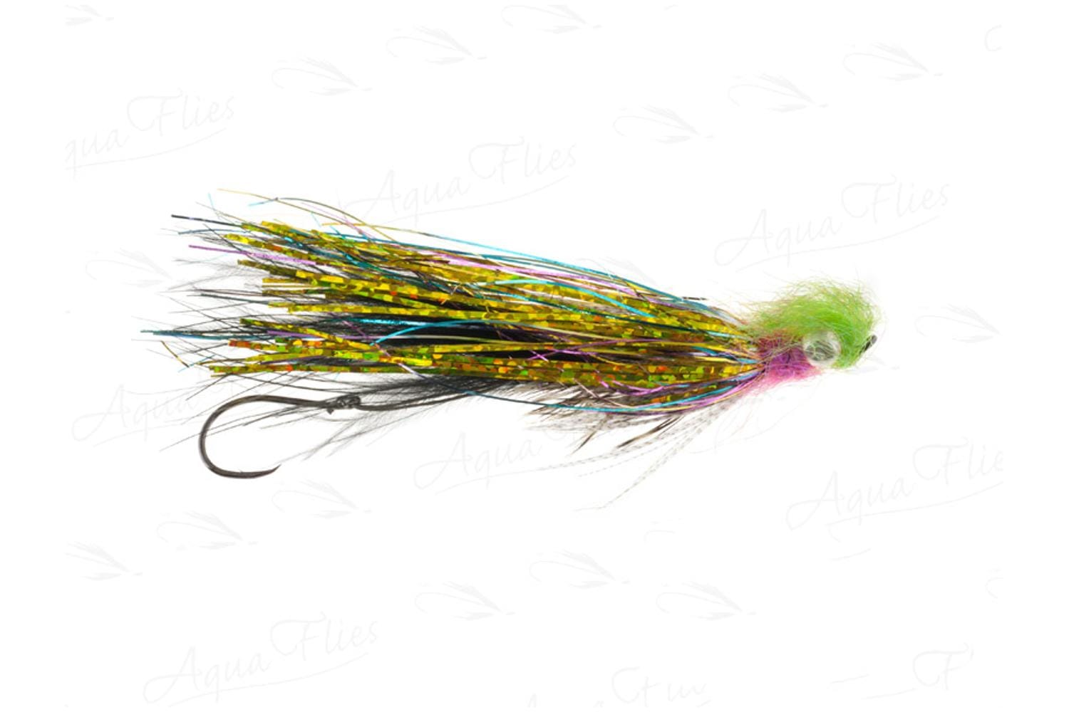 Feenstra's Grapefruit Leech Fly