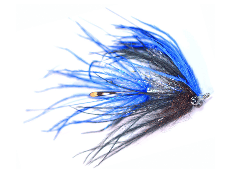 Jerry's Intruder Fly
