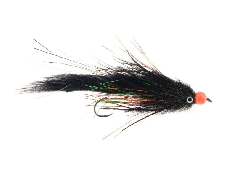 Senyo's Egg Raider Fly