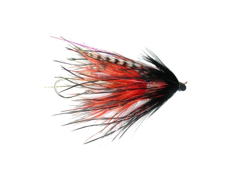 Stu's Barred Ostrich Intruder Fly
