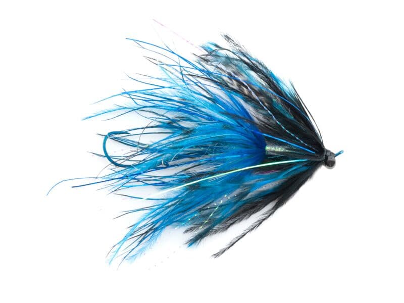 Stu's Barred Ostrich Intruder Fly