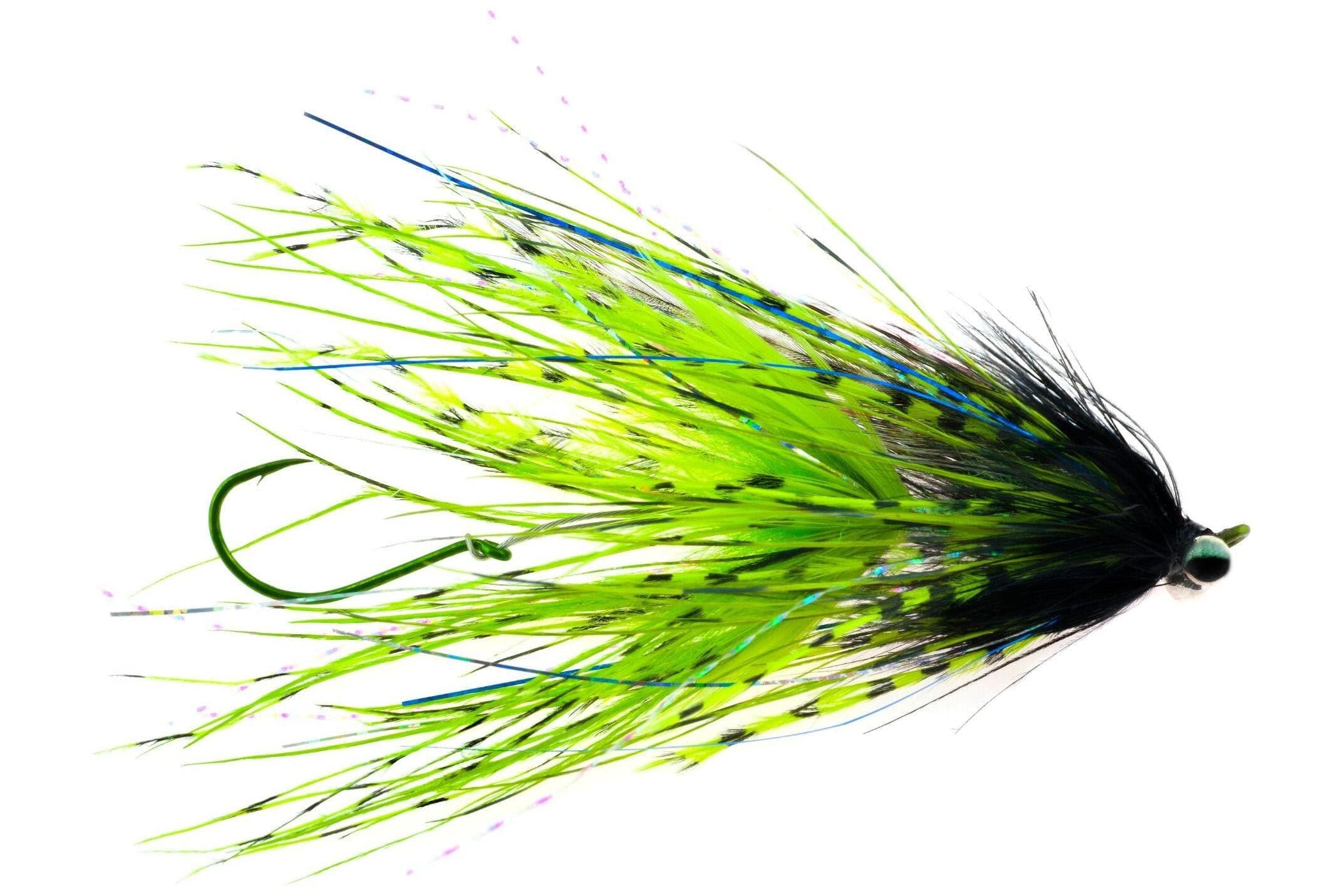 Stu's Barred Ostrich Intruder Fly