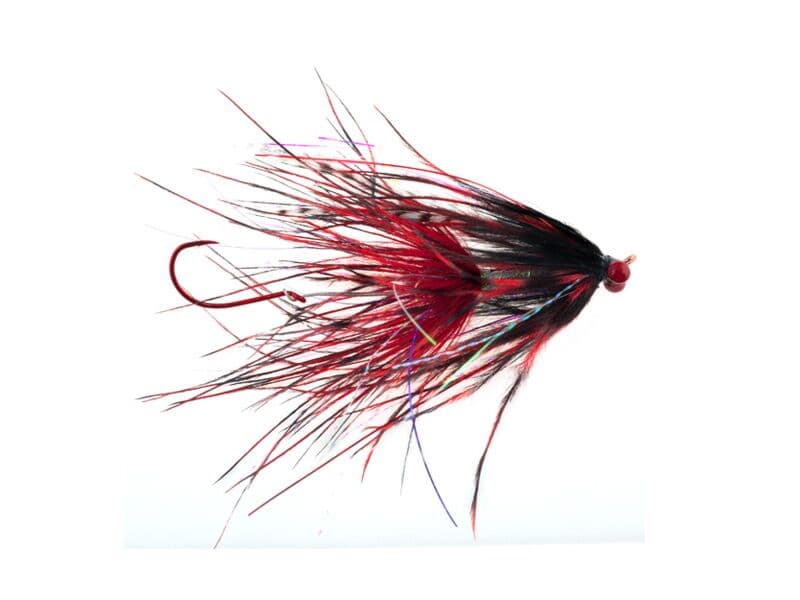 Stu's Barred Ostrich Intruder Fly
