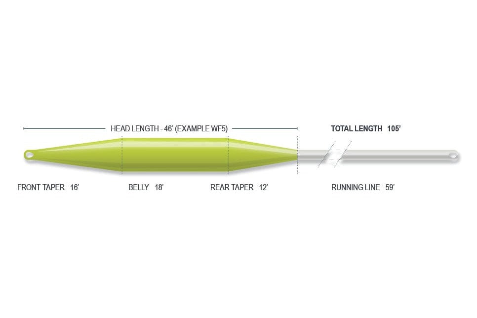 Airflo Superflo Stillwater float fly line showing lime-green tapered head and grey running line with labeled tapers