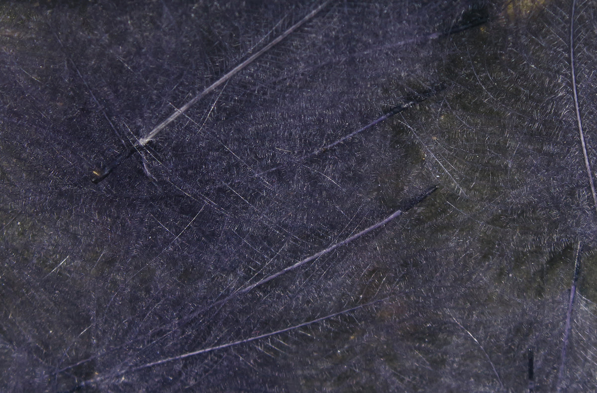 Hareline Cul De Canard CDC Feathers