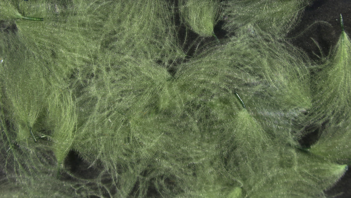 Olive green Hareline CDC oiler puffs with soft downy CDC feathers clustered as fluffy fly tying puffs