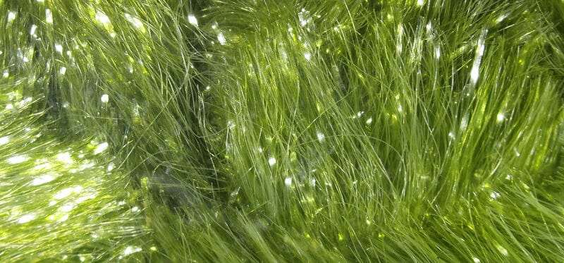 Chartreuse green iridescent chenille fibers with long wispy strands and fine reflective tinsel for fly tying
