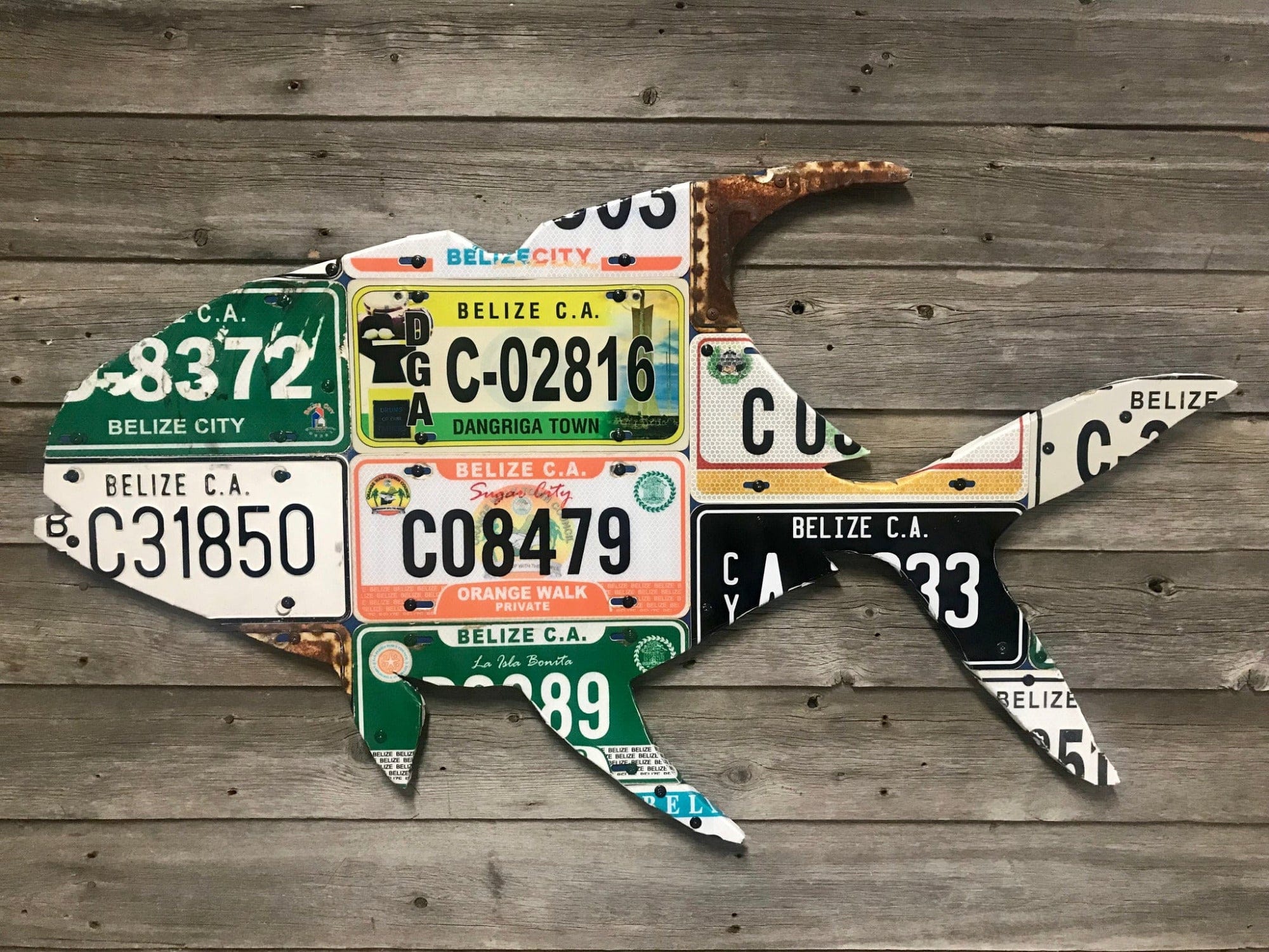 Belize Permit License Plate Artwork - Image 1