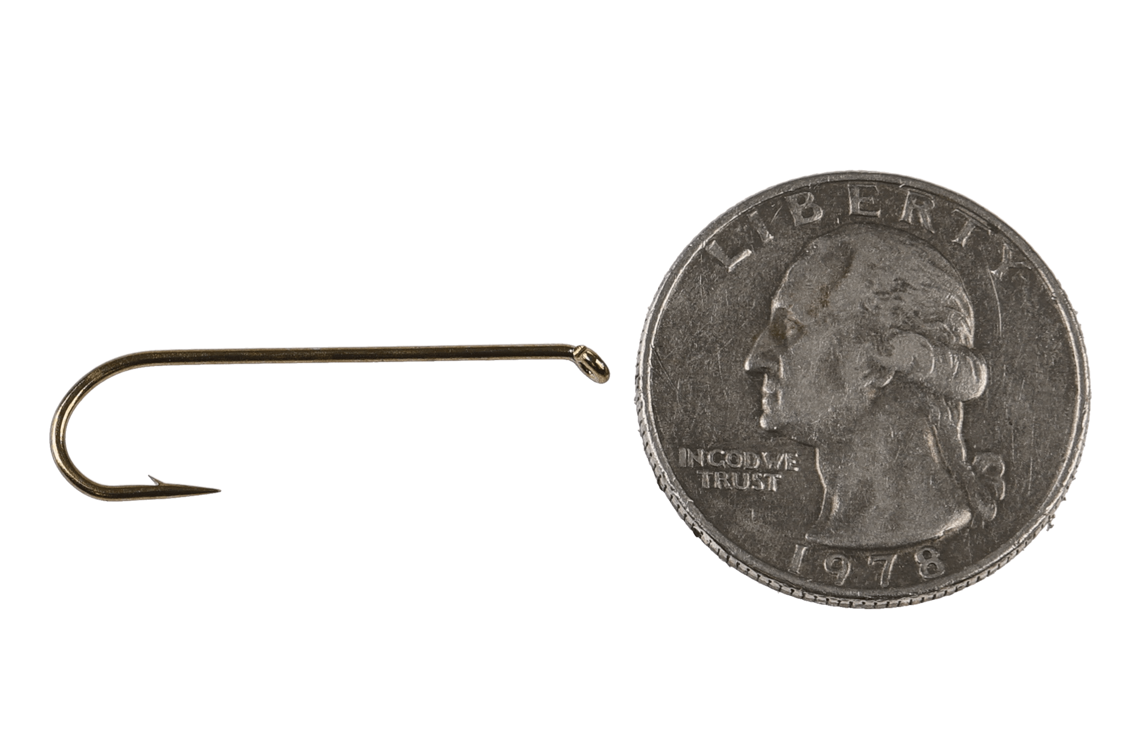 Core C2220 brass-colored down-eye streamer hook for fly tying, thin wire curved shank shown beside quarter for scale