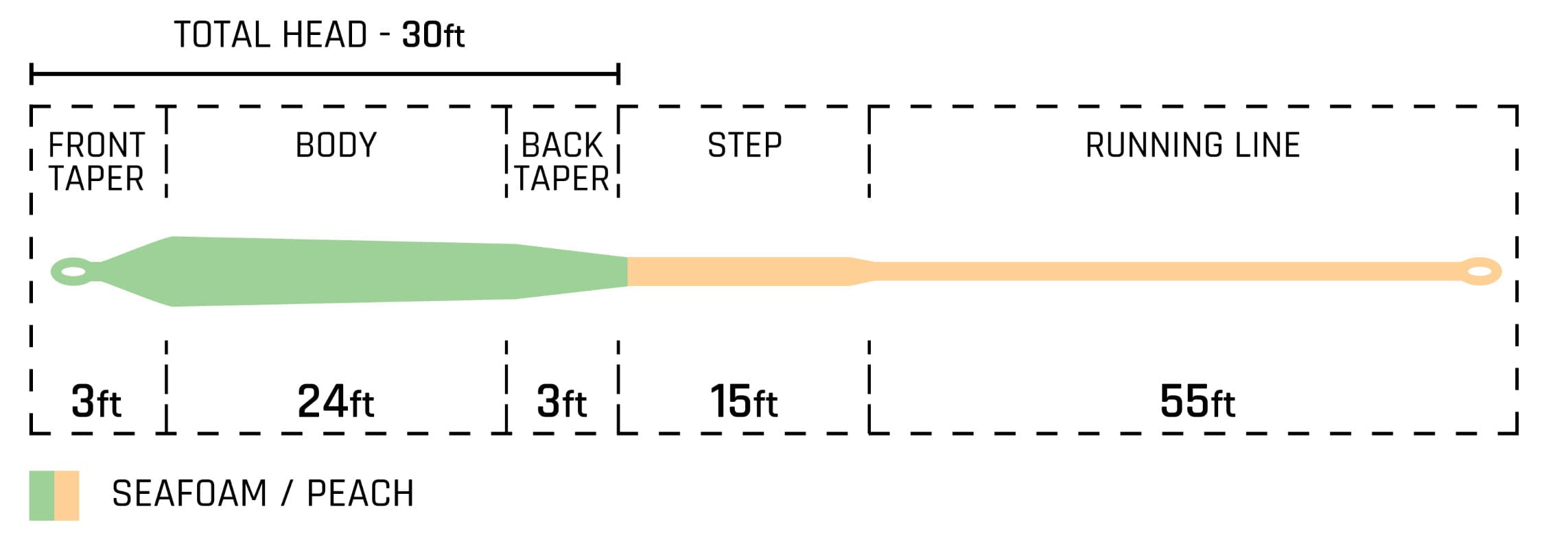 Cortland Cannon fly line diagram showing seafoam green tapered 30ft head and peach 55ft running line