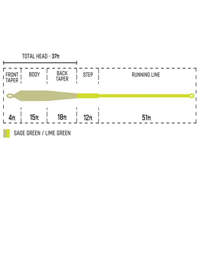 Cortland floating fly line diagram in sage and lime green with 37ft tapered head and 51ft running line