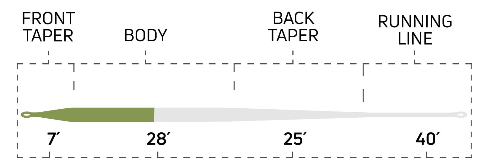Cortland long-belly distance fly line with olive-green front belly and pale gray taper leading to thin white running line