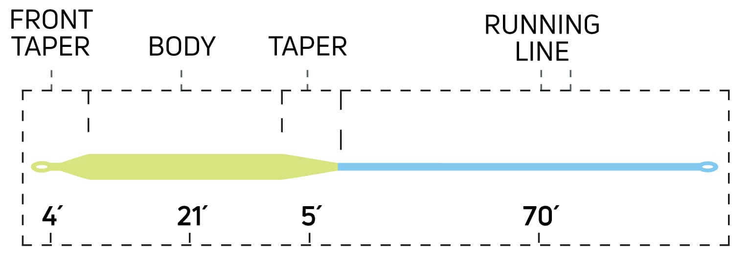 Cortland Striped Bass Floating Fly Line