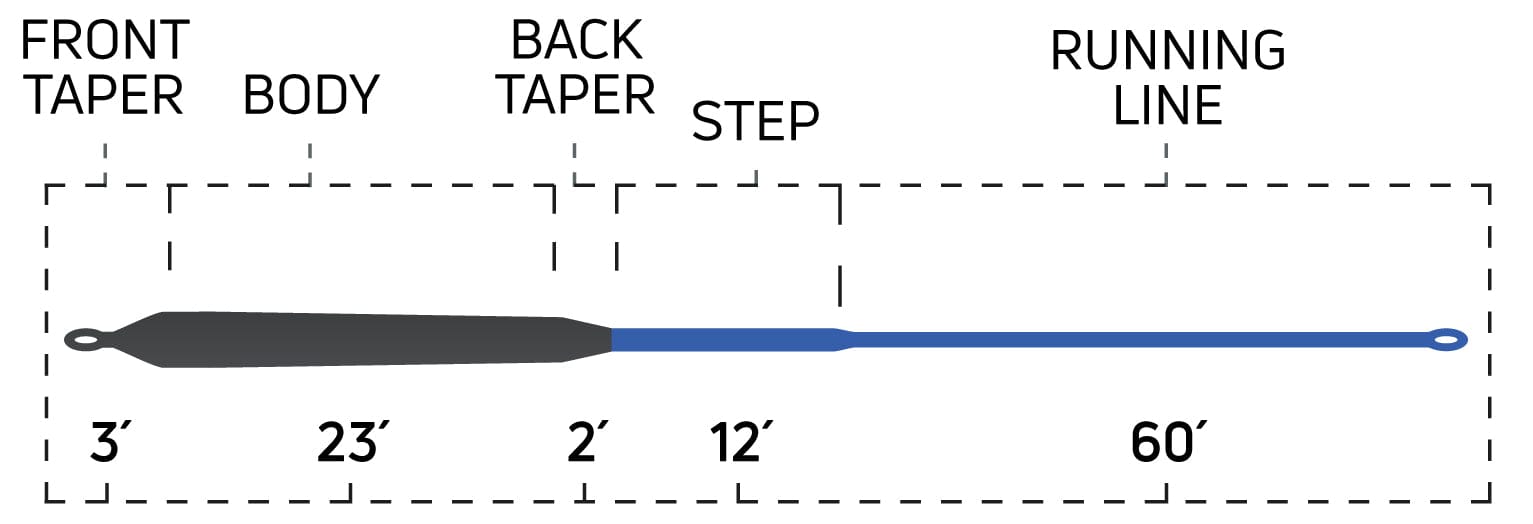 Cortland Striped Bass Sink 8 Fly Line
