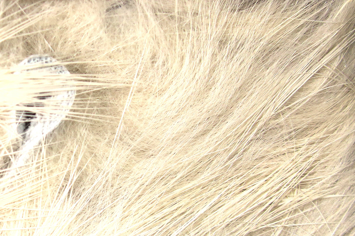 Hareline Crosscut Rabbit Fur Strips