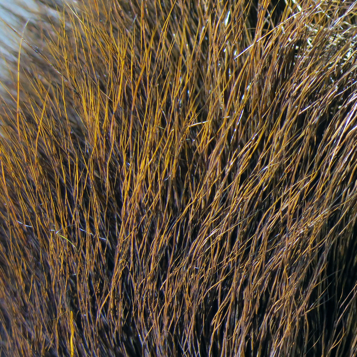 Hareline Dyed Deer Belly Hair