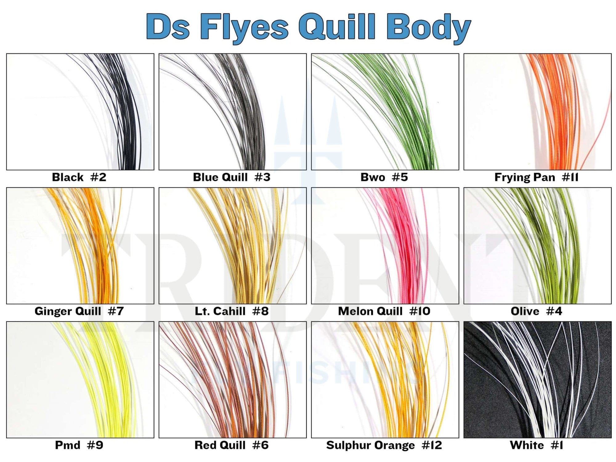 D's Flyes Quill Body