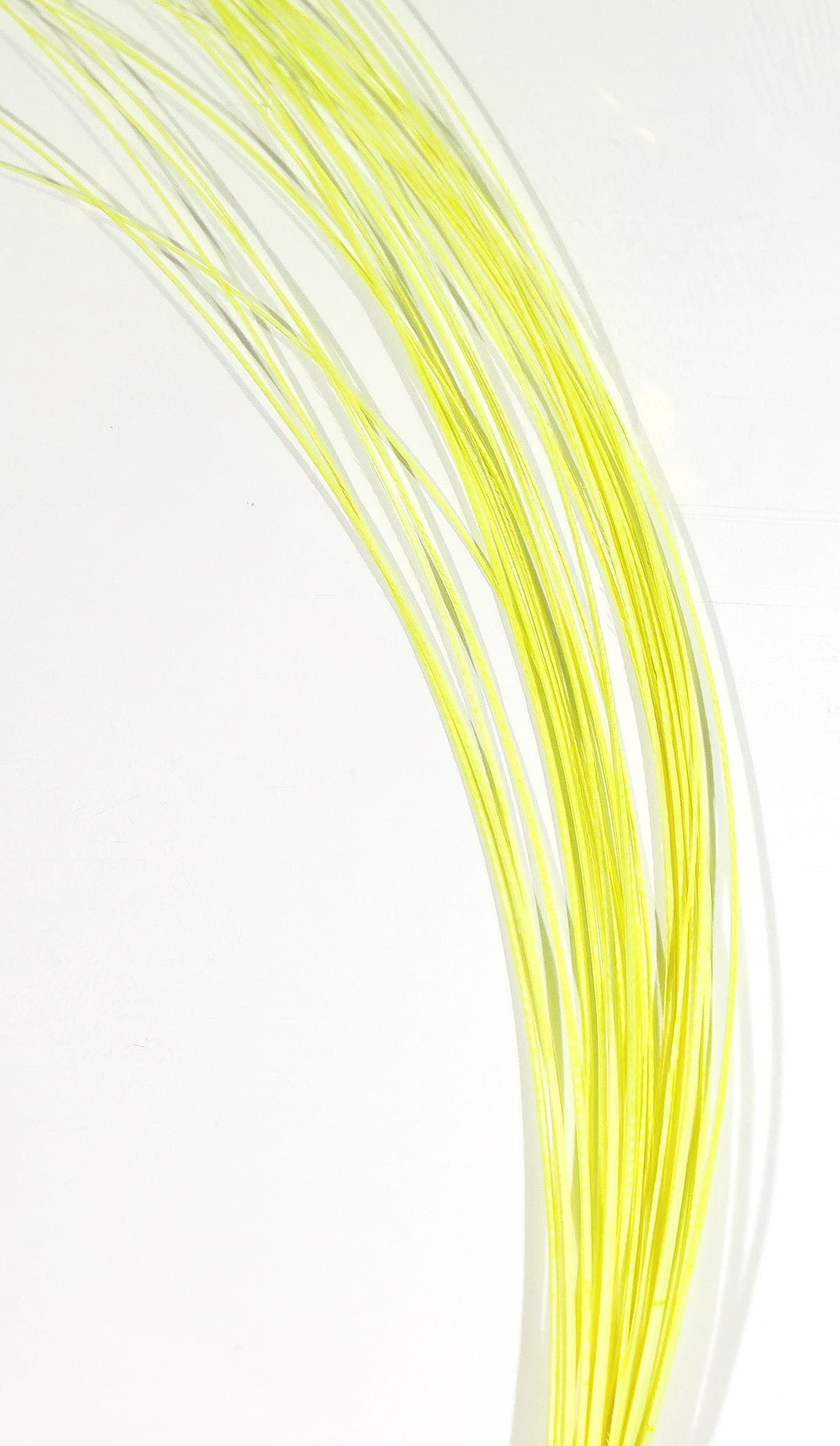 Chartreuse yellow quill body strands for fly tying, thin translucent synthetic quills curved in a bundled fan
