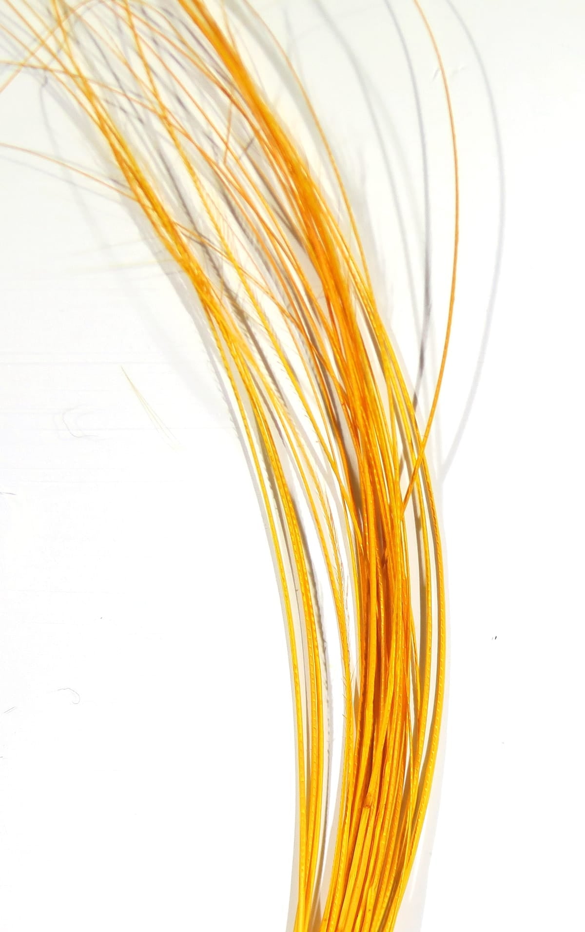 Golden-orange quill body strands for fly tying, thin glossy quill fibers bundled in a tapered, flexible style