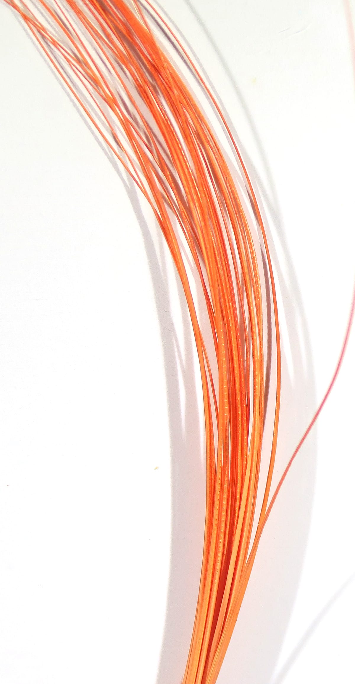 Bright orange quill body strands for fly tying, thin glossy ribbed fibers bundled in a curved bunch